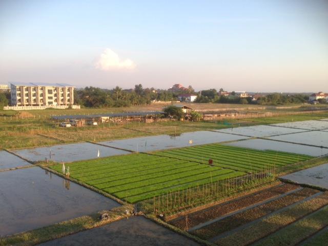 I Residence At Maejo Chiang Mai Buitenkant foto